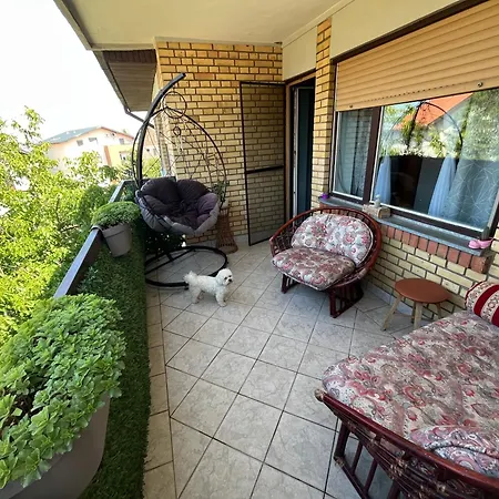 Family Apartmant Apartment